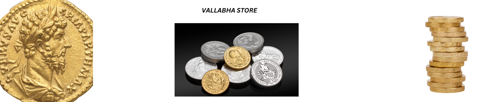 Vallabha Antique Coins