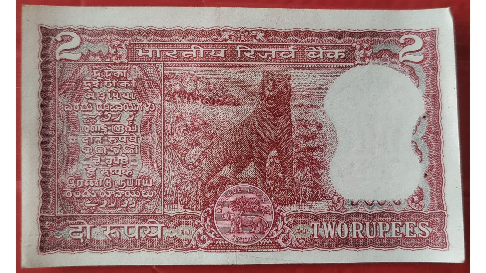 Mohan Store