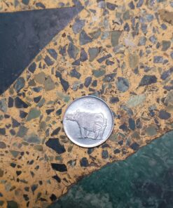25 paise rare antique coin worth 5 lac with rhinoceros on it.