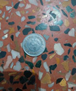 1 Rs coin - International year of the family ( rare coin 1994)