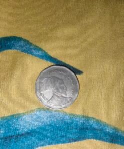 Chatrapati Shiva ji maharaj coin