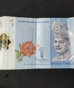 Mixed currency Indian USA Singapore Malaysia