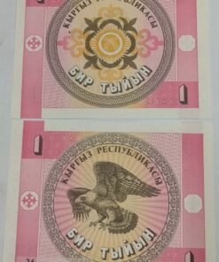 KYRGYZSTAN - 1 TYIYN - UNC & MINT CONDITION (1993)