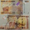 UGANDA - 1000 UGANDAN SHILLING - UNC & MINT CONDITION