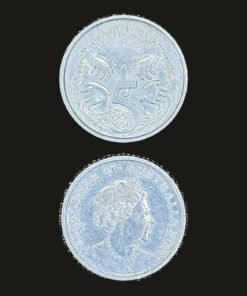 Australia 5 Cents Coin Echidna