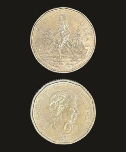 Canada 1 Dollar 2005 Loonie Coin Terry Fox Marathon of Hope