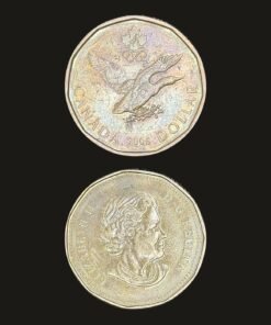 Canada 1 Dollar 2006 Loonie Coin Turin Olympic Lucky Loonie