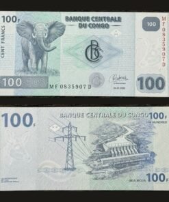 Democratic Republic of the Congo 100 Francs Banknote UNC Elephant Inga Dam RARE