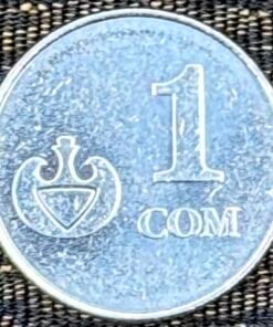 Kyrgyzstan 1 Som Coin