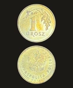 Poland 1 Grosz Coin Crowned White Eagle Oak Leaf