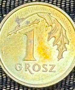 Poland 1 Grosz Coin