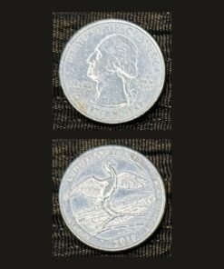 United States Quarter Dollar (Cumberland Island Great Blue Heron) (America, USA) Coin