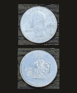 United States Quarter Dollar (Kansas Buffalo and Sunflower) (America, USA) Coin
