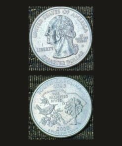 United States Quarter Dollar (South Carolina Palmetto State) (America, USA) Coin