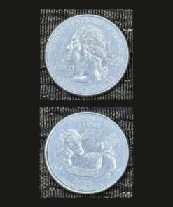 United States Quarter Dollar (Wisconsin Forward) (America, USA) Coin