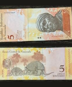 Venezuela 5 Bolivares Fuertes Banknote 2008 UNC Condition Pedro Camejo & Giant Armadillo RARE