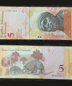 Venezuela 5 Bolivares Fuertes Banknote 2011 UNC Condition Pedro Camejo & Giant Armadillo RARE