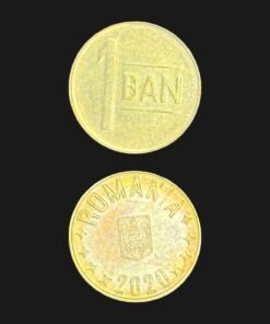 Romania 1 Ban Coin 2020 National Coat of Arms Brass Plated Steel RARE