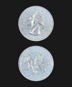 United States Quarter Dollar (Alaska Grizzly Bear) (America, USA) Coin