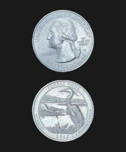 United States Quarter Dollar (Bombay Hook Great Blue Heron) (America, USA) Coin