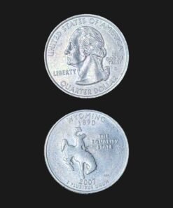 United States Quarter Dollar (Wyoming The Equality State) (America, USA) Coin