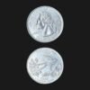 United States Quarter Dollar (Oklahoma Scissor-Tailed Flycatcher) (America, USA) Coin