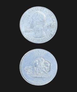 United States Quarter Dollar (Kansas Buffalo and Sunflower) (America, USA) Coin