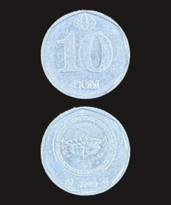 Kyrgyzstan 10 Som Coin