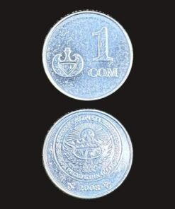 Kyrgyzstan 1 Som Coin
