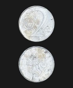 Czech Republic 2 Koruny Coin Czech Lion