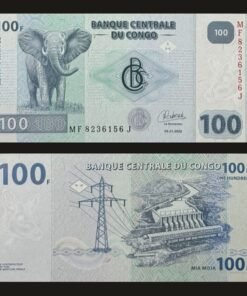 Democratic Republic of the Congo 100 Francs Banknote UNC Elephant Inga Dam RARE