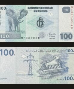 Democratic Republic of the Congo 100 Francs Banknote UNC Elephant Inga Dam RARE