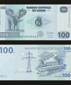Democratic Republic of Congo 100 Francs Banknote 2022 UNC Virunga Elephant Inga Dam RARE