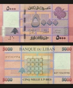 Lebanon 5000 Livres Banknote UNC 2021 Geometric Cedar Tree Banque Du Liban RARE