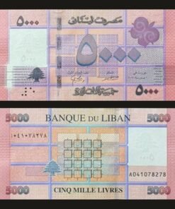 Lebanon 5000 Livres Banknote UNC 2021 Geometric Cedar Tree Banque Du Liban RARE
