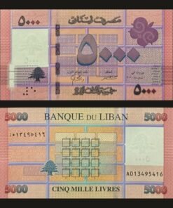 Lebanon 5000 Livres Banknote UNC 2021 Geometric Cedar Tree Banque Du Liban RARE