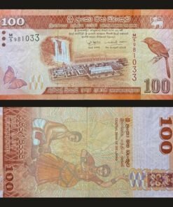 Sri Lanka 100 Rupees Banknote 2022 Norochcholai Power Plant Orange-Billed Babbler RARE