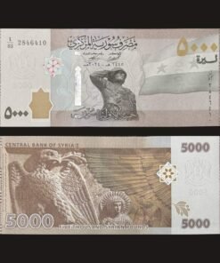 Syria 5000 Pounds Banknote UNC 2024 Soldier Monument and Eagle