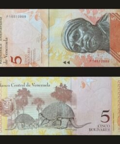 Venezuela 5 Bolivares Fuertes Banknote 2011 UNC Condition Pedro Camejo & Giant Armadillo RARE