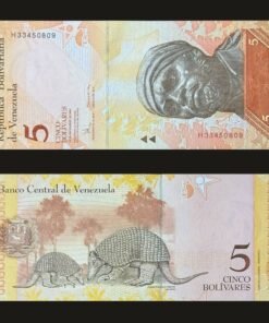 Venezuela 5 Bolivares Fuertes Banknote 2008 UNC Condition Pedro Camejo & Giant Armadillo RARE