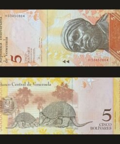 Venezuela 5 Bolivares Fuertes Banknote 2008 UNC Condition Pedro Camejo & Giant Armadillo RARE