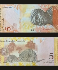 Venezuela 5 Bolivares Fuertes Banknote 2008 UNC Condition Pedro Camejo & Giant Armadillo RARE
