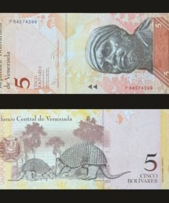 Venezuela 5 Bolivares Fuertes Banknote 2011 UNC Condition Pedro Camejo & Giant Armadillo RARE