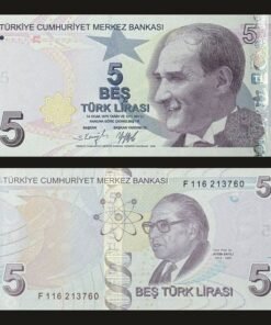 Turkey 5 Lira Banknote 2009 E9 Series UNC Condition Mustafa Kemal Atatürk Aydın Sayılı RARE
