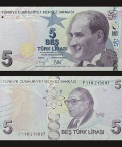 Turkey 5 Lira Banknote 2009 E9 Series UNC Condition Mustafa Kemal Atatürk Aydın Sayılı RARE