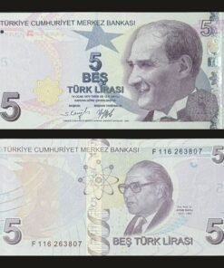 Turkey 5 Lira Banknote 2009 E9 Series UNC Condition Mustafa Kemal Atatürk Aydın Sayılı RARE