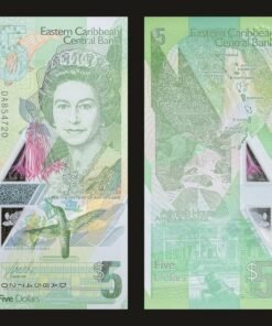 Eastern Caribbean 5 Dollars Banknote UNC Polymer Hummingbird and Coral